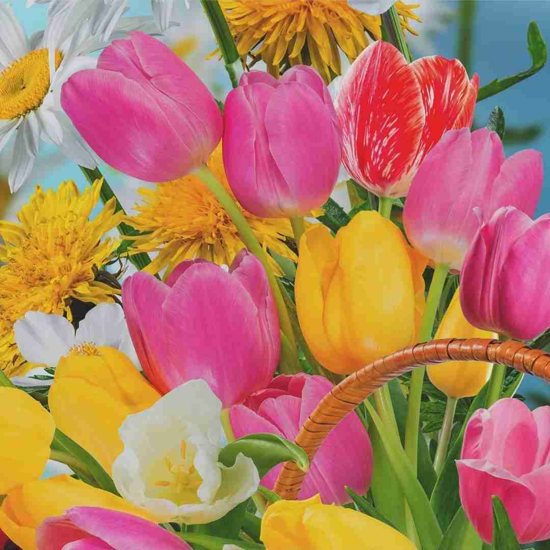 قیلونی چاق کردمه طعمش شیرینه با صدای بچه