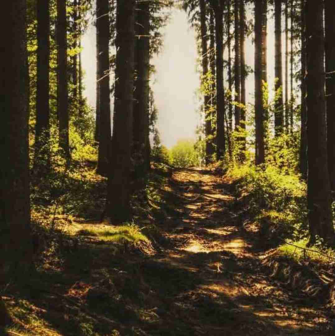  یکی یک دونه ای چراغ خونه ای با صدای پسر