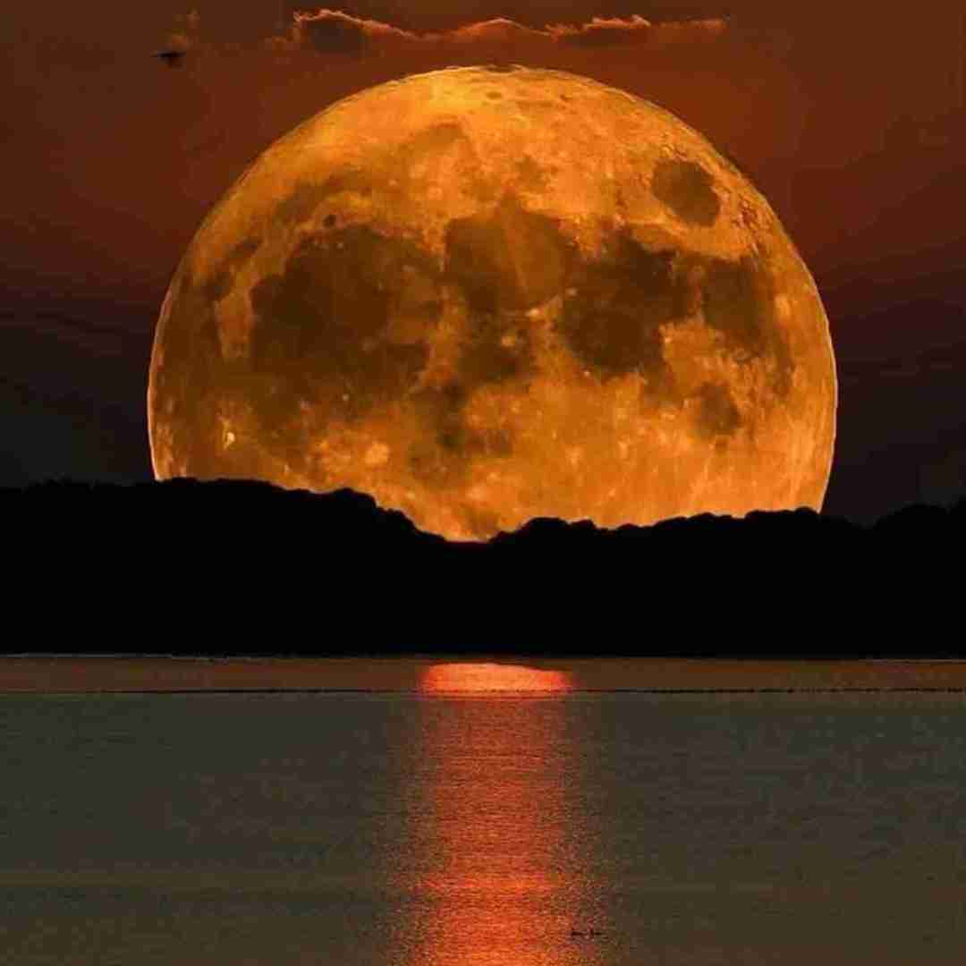 بیا برگردیم به هم من حاضرم تو با قلبت بیا (هوش مصنوعی)