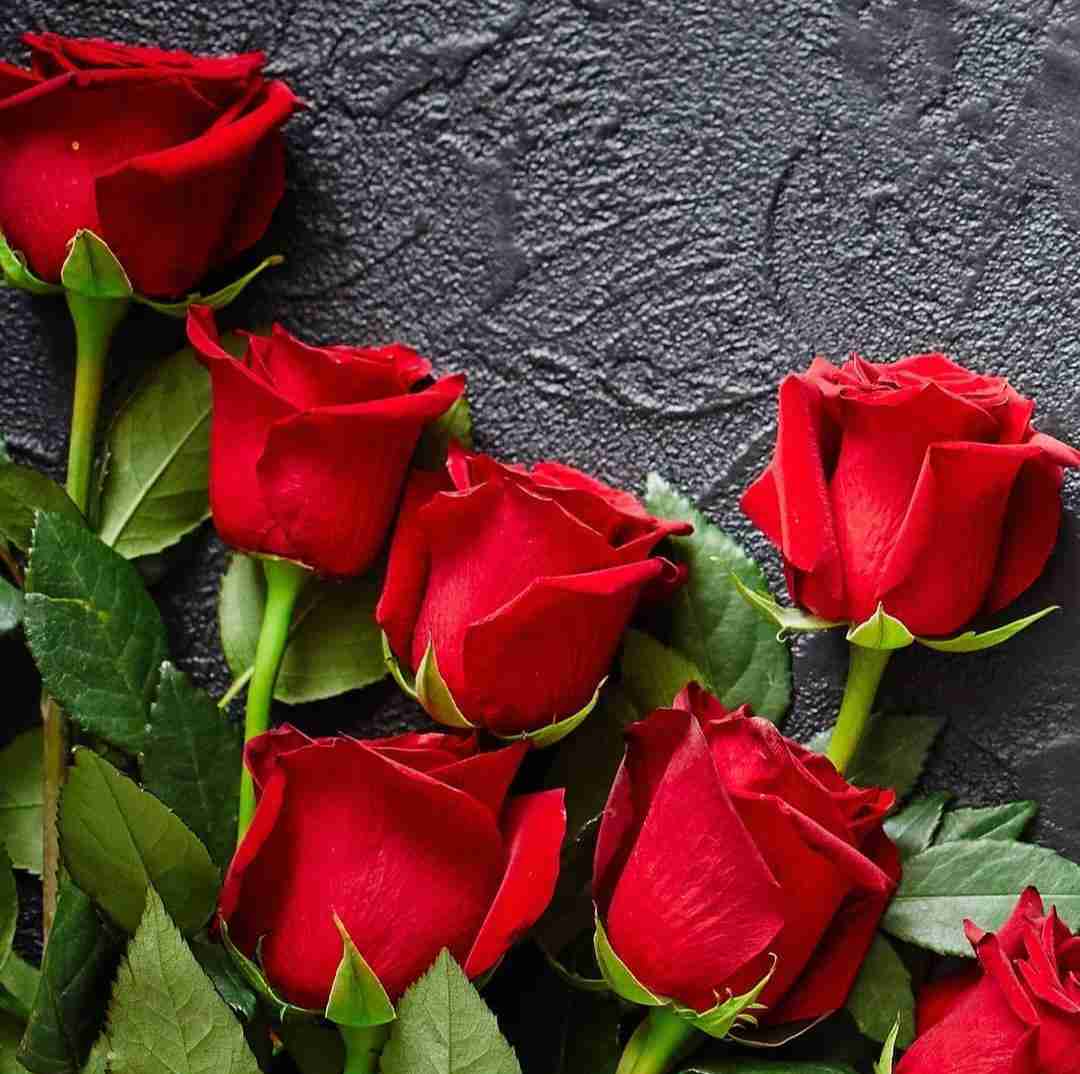  میدونم که برنمیگرده گاهی یاد مام بکن