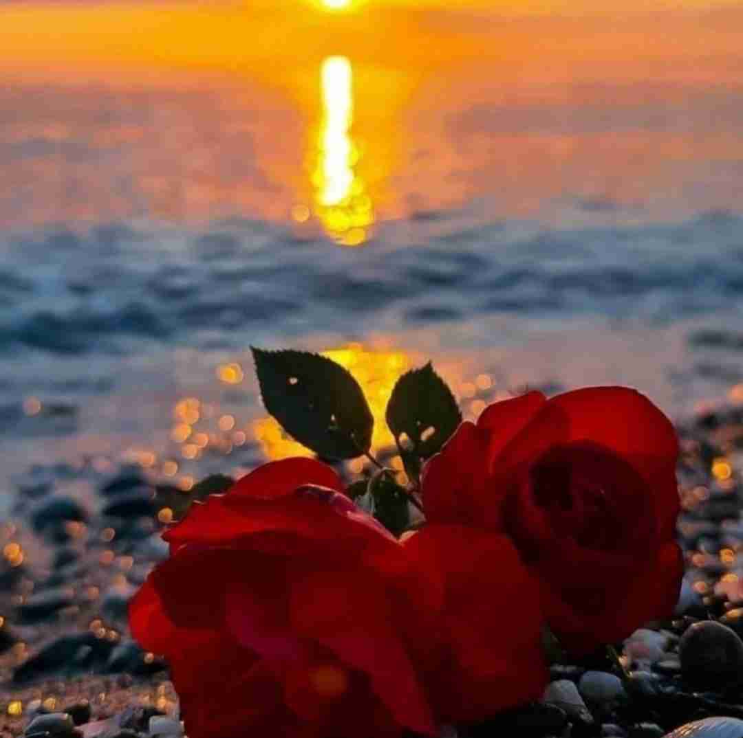  بالاییم با موزیک الری بالا بالا بالا