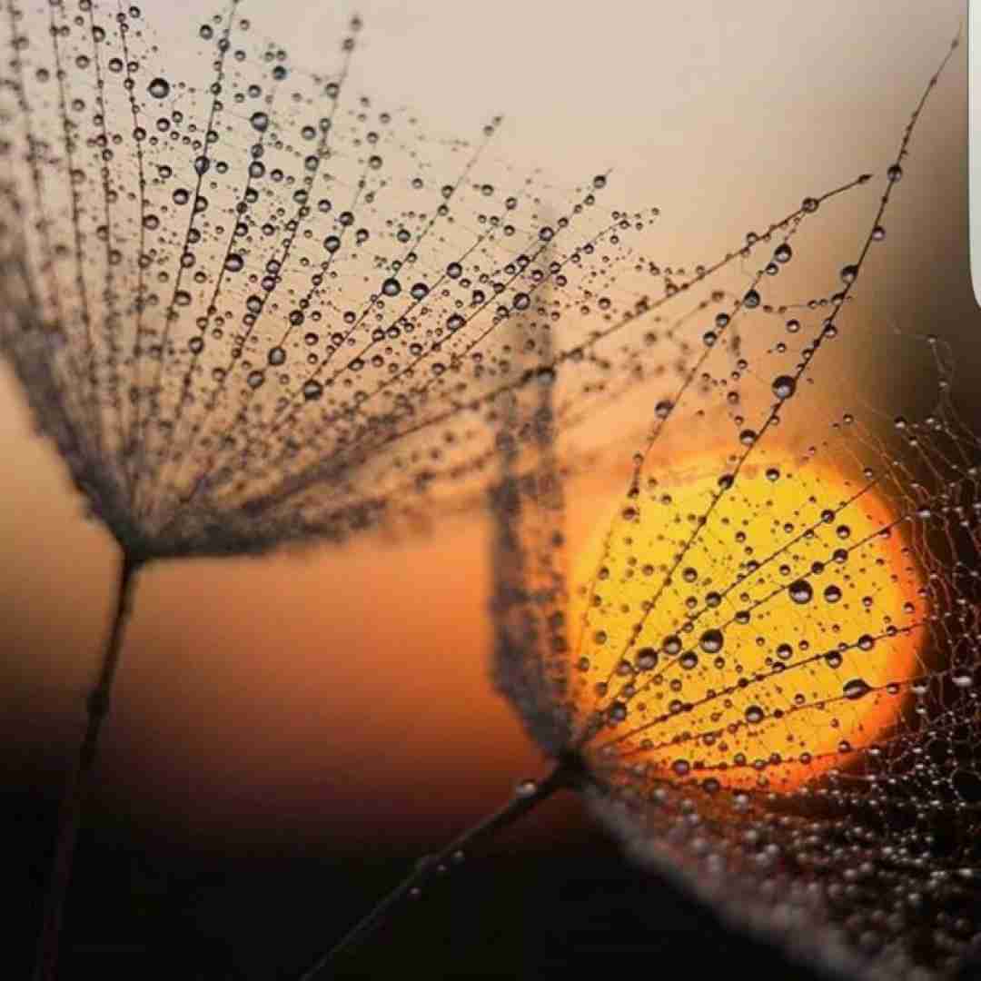  این بغضا منو خفه کرد رسیدم ته خط