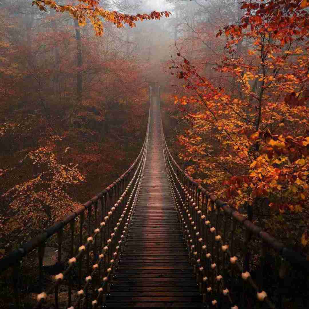 دشی کاش میمردی تا روحت دائما با من بود