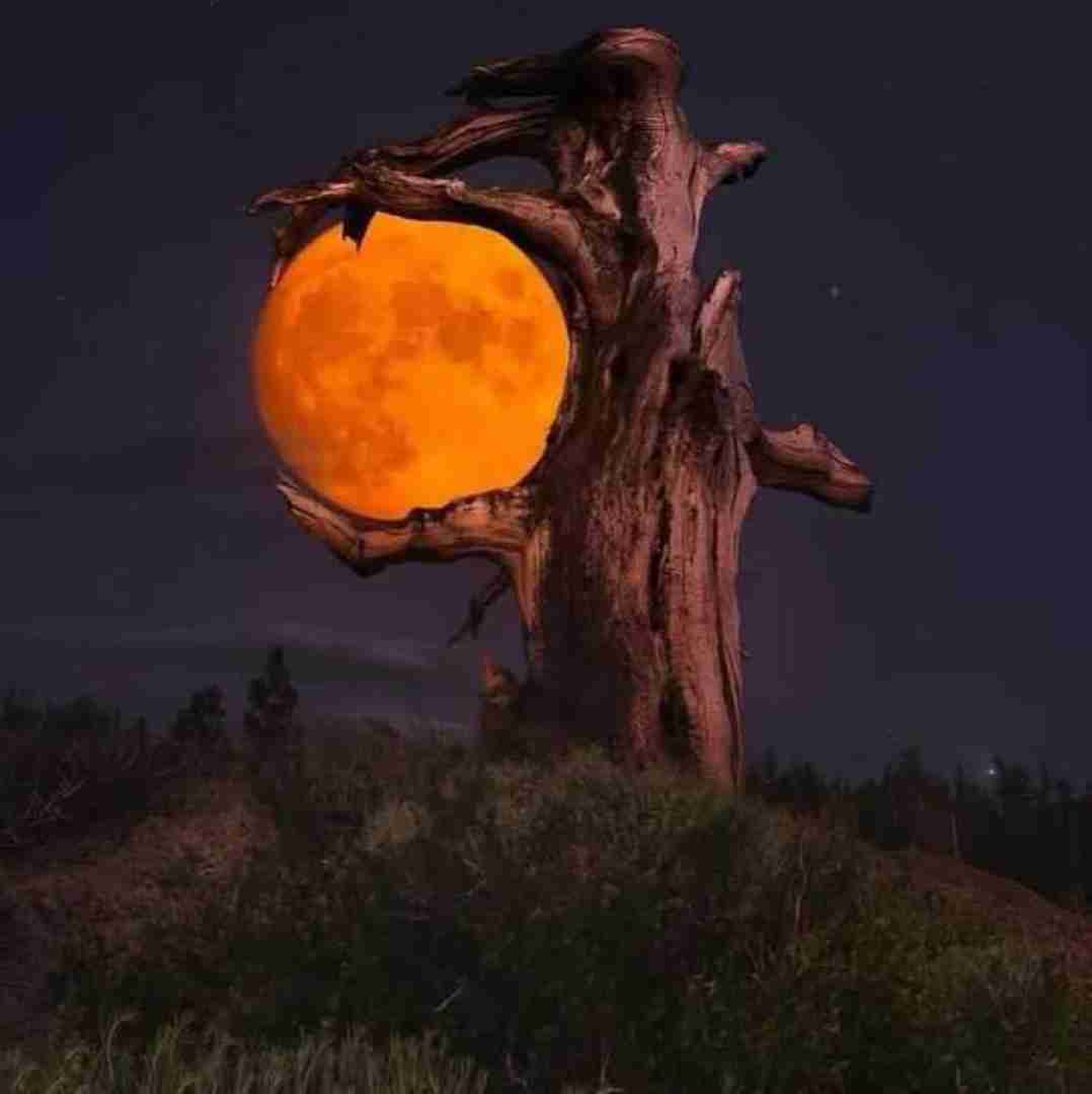  یعنی میشه بیای آروم بگیره این دل من با صدای بچه