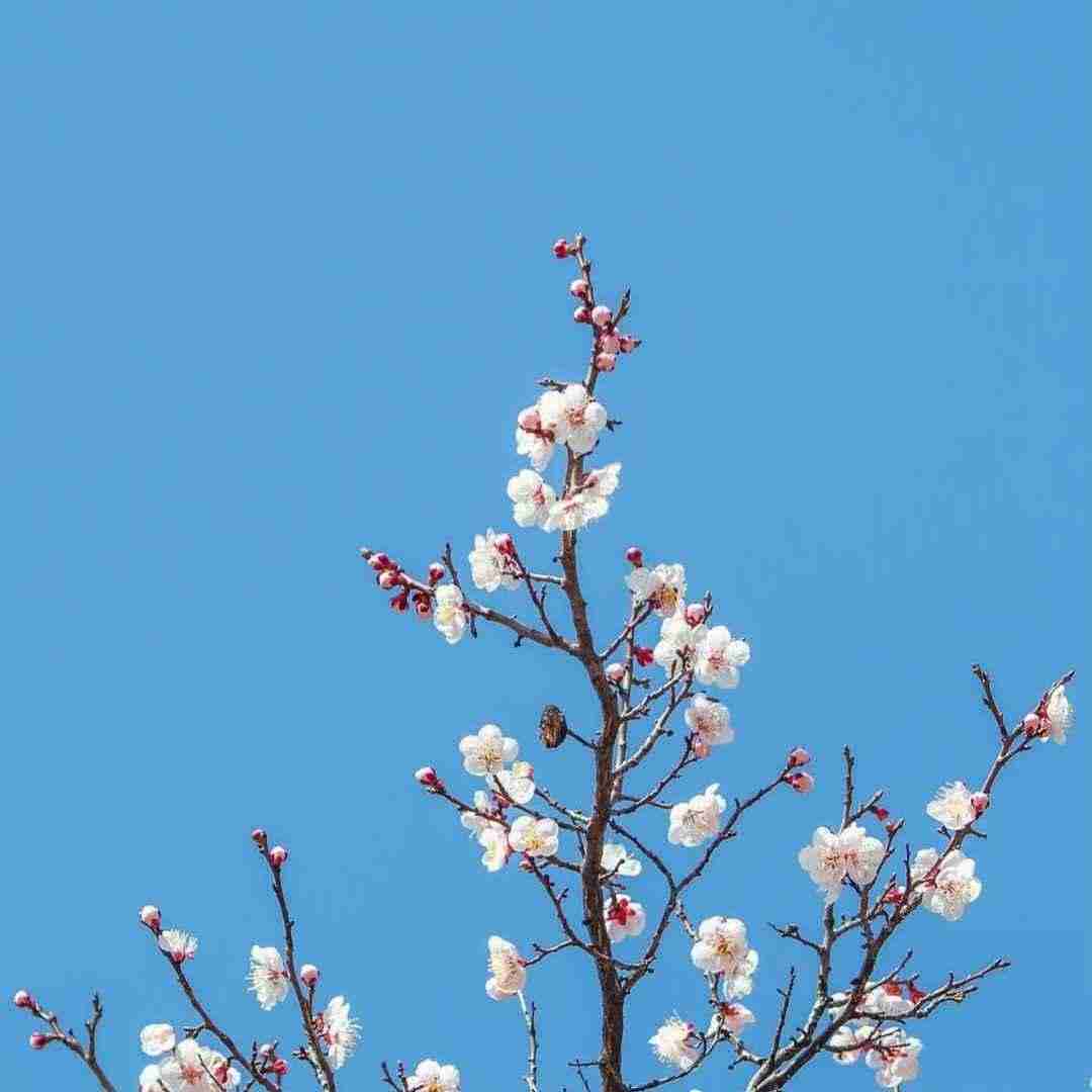  چقدر من درک کردم چقدر من رحم کردم با صدای بچه