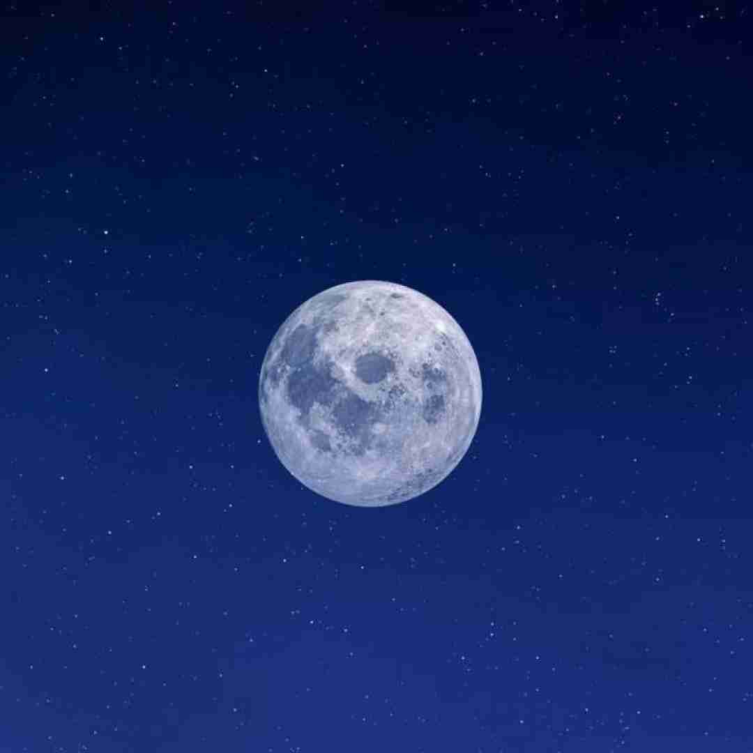  ما دوتا دوتا گل بودیم یه گوشه با صدای زن هوش مصنوعی