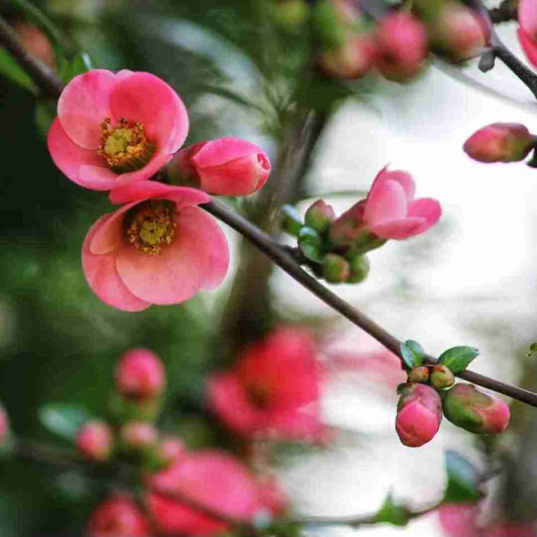  برو با همه خوبی و بدیات میدم تورو به با صدای بچه