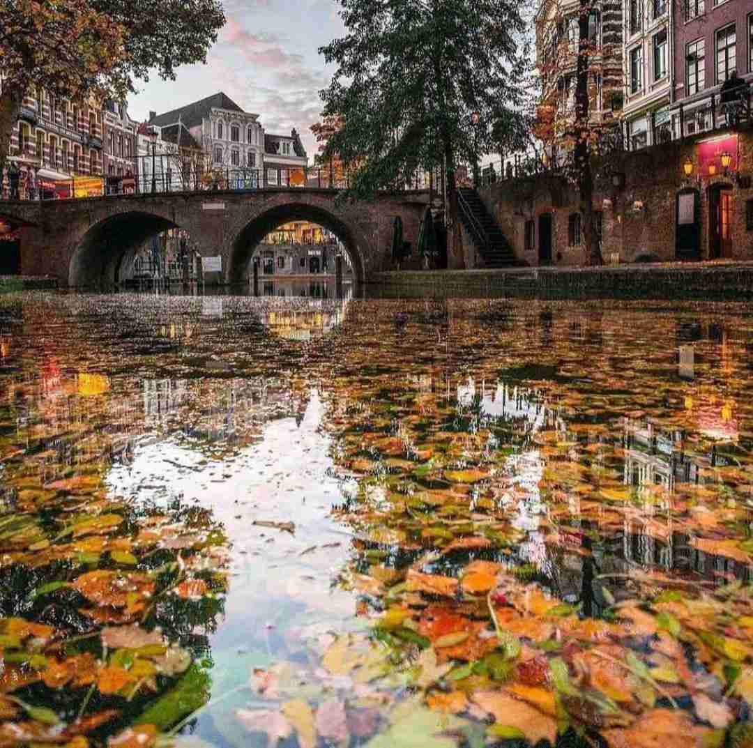  درگیرم با خودم نمیدونم میخوامت یا نه من