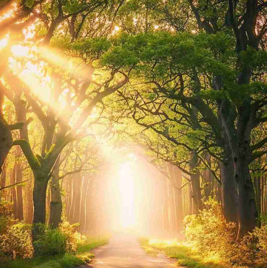  هنوزم چشای تو دراگه بیبی میگم خوبم