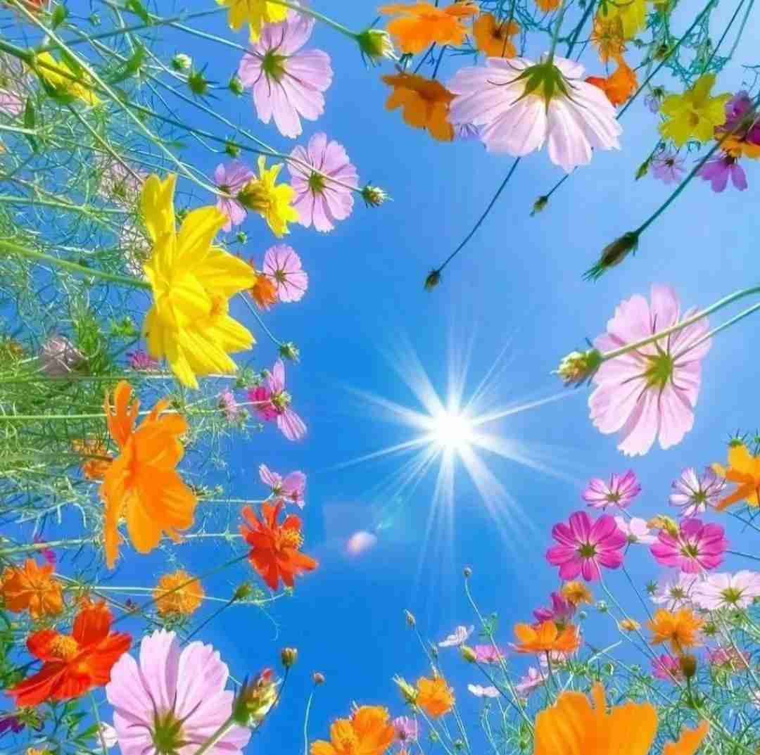  من هنوز تصویر تو توی ذهنم فراموشت نمیکنم