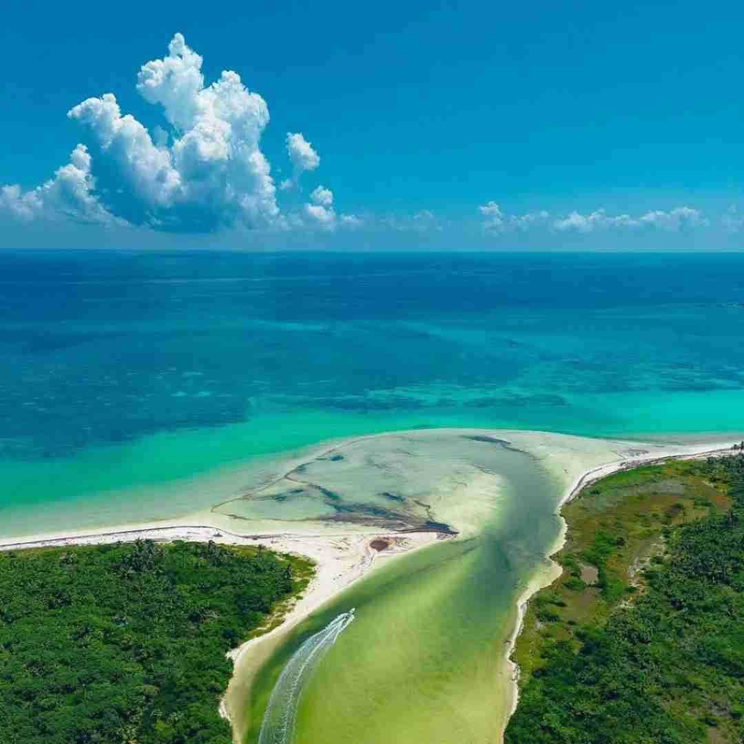  نری بپره از سرت فکر خونه