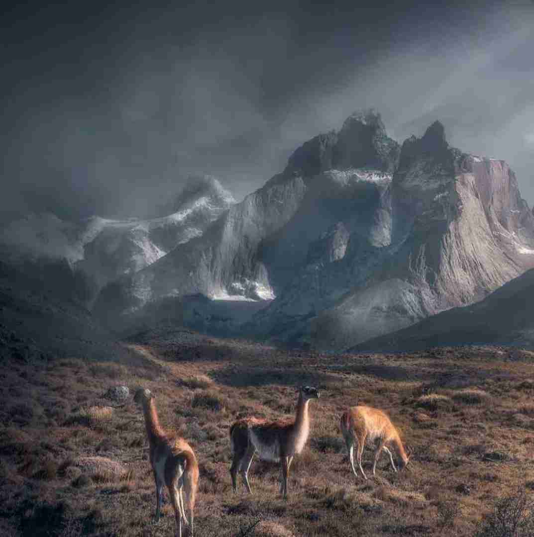  ببخشید مادرم زده باز به سرم خواستم این راهو نرم
