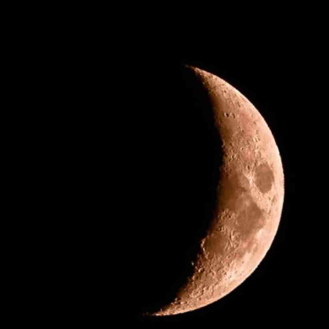  یار عزیزوم بی مو جر کرده نازتو میخرم گرون (ریمیکس رپی)