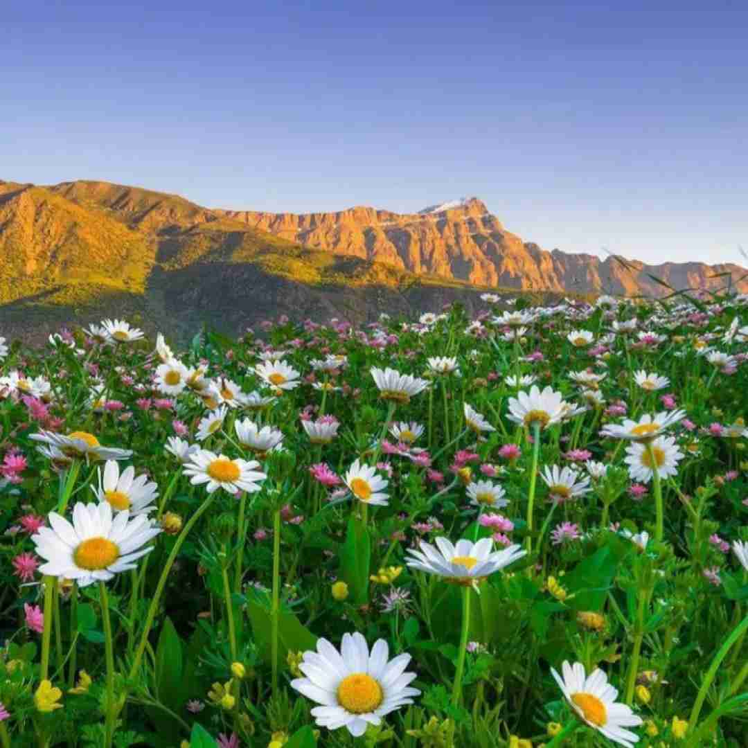  تو بهانه ی من برای موندن راهی ندارم