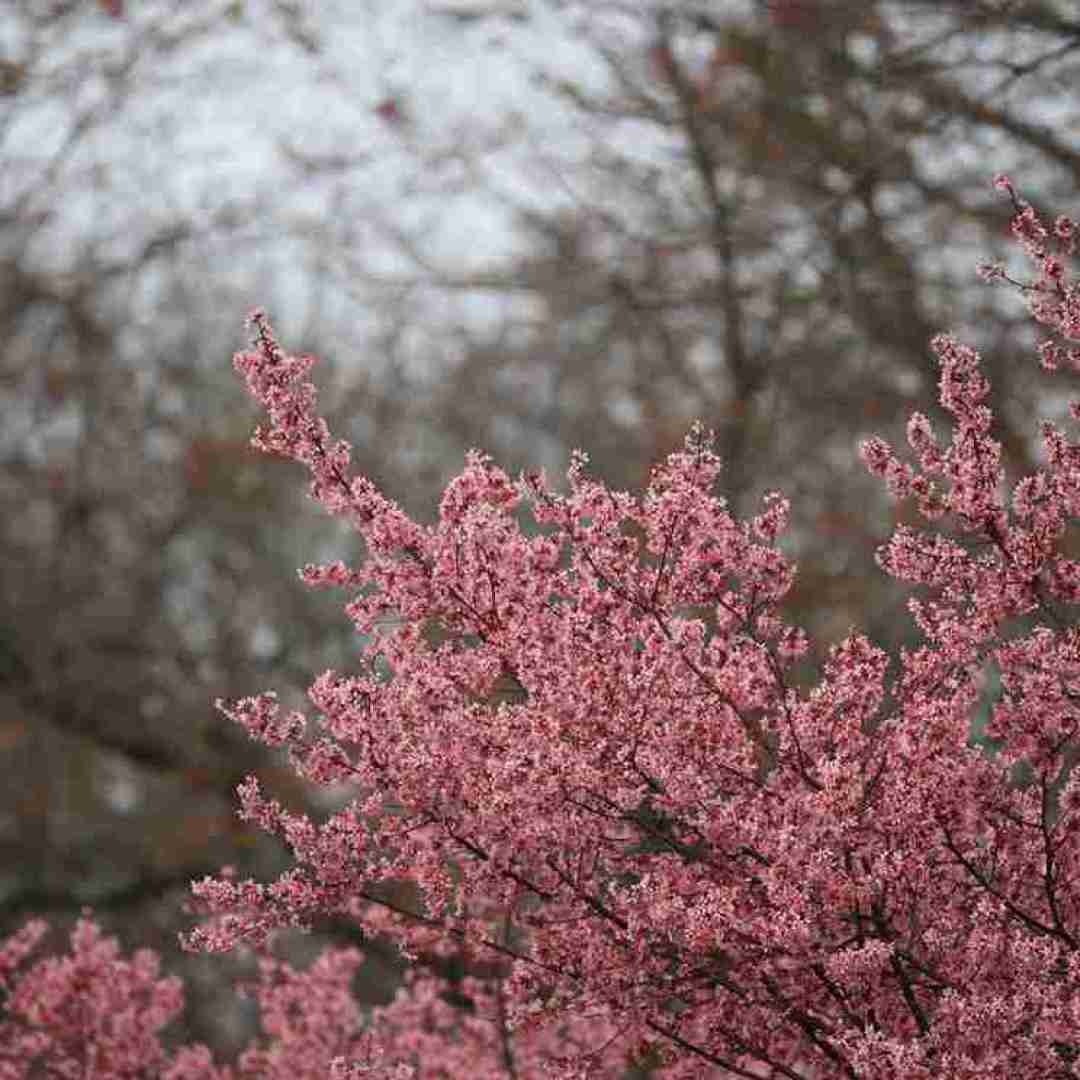 من غریب دریا از بوی دهنم بده تشخیص ماریان