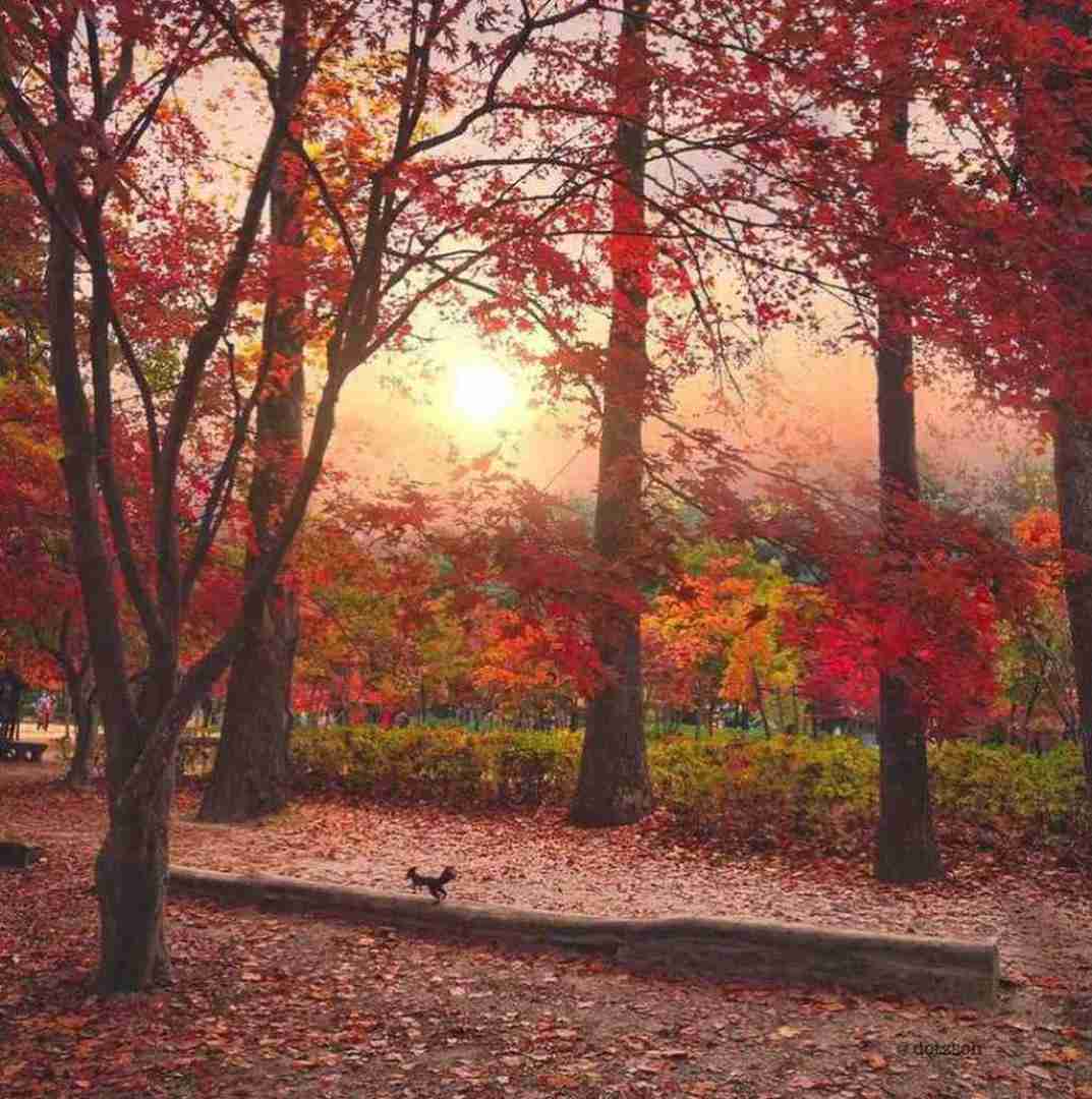  تو خوبی همه بچه بازیا از من بود با صدای دختر