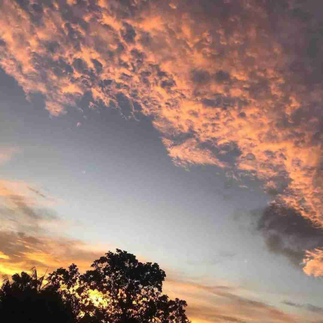  قربون حرف زدنت بشم که باعث شده عاشقت ورژن گیتار