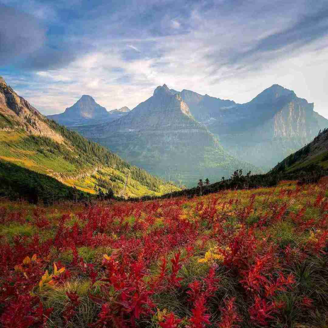  تی رو هلال ماهه قرص قمر تو هستی هوش مصنوعی