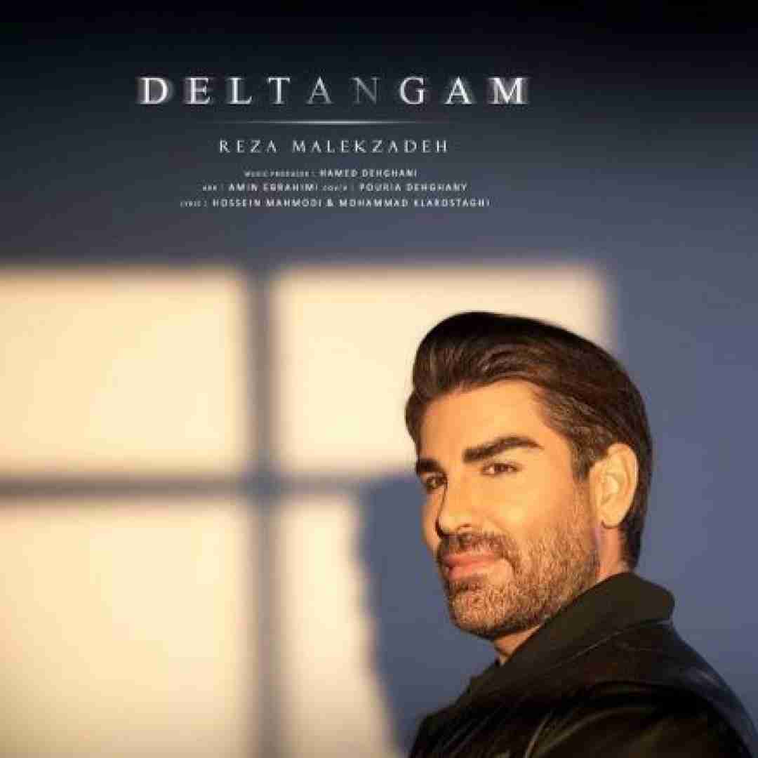 رضا ملک زاده دلتنگم