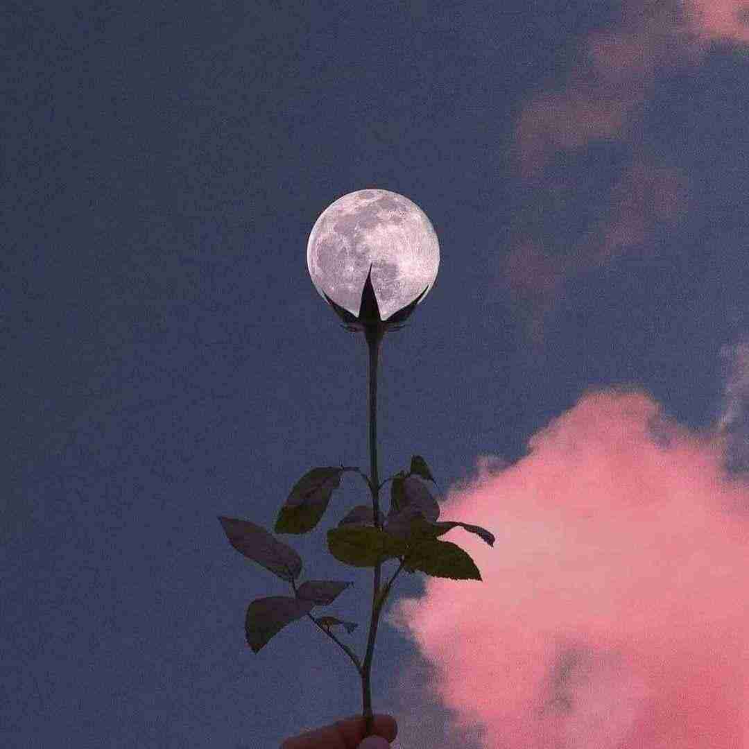  بگو میشه ببینم یه روزی باز تورو جوابمو بده با صدای بچه
