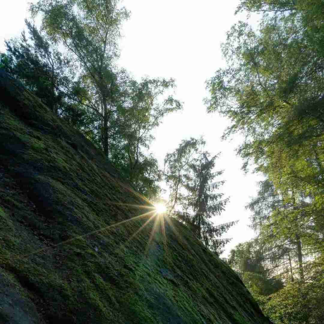 چالش چیزی که شما میبینید چیزی که ننم هنوز میبینه