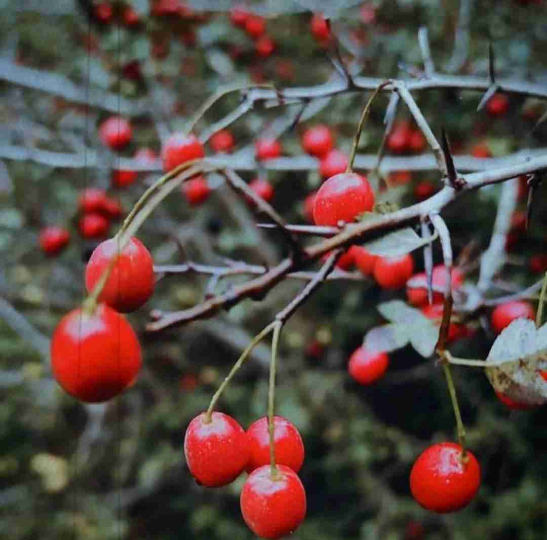  به سمت پنجره پیدا کن هوای حبس هوش مصنوعی