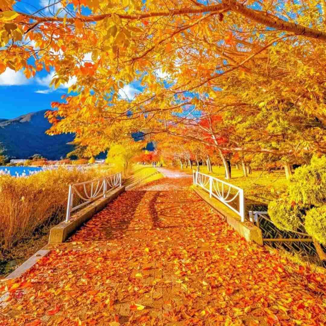  افغانی دره دره غرمم بره اینستایی