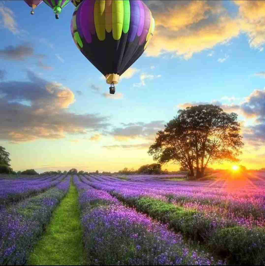  تو تو چشمات تو حرفات چی داری با صدای دختر اینستایی