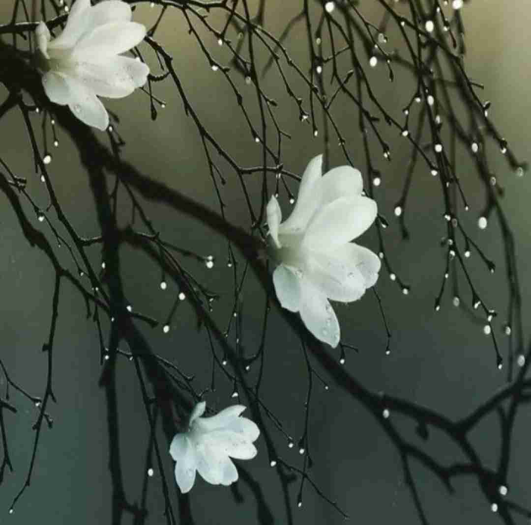 یارم یارم یارم سی تیلت غمبارم هوش مصنوعی