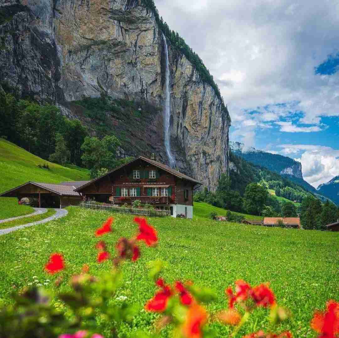  چنگ دل آهنگ دل کش میزند ناله ی عشق است