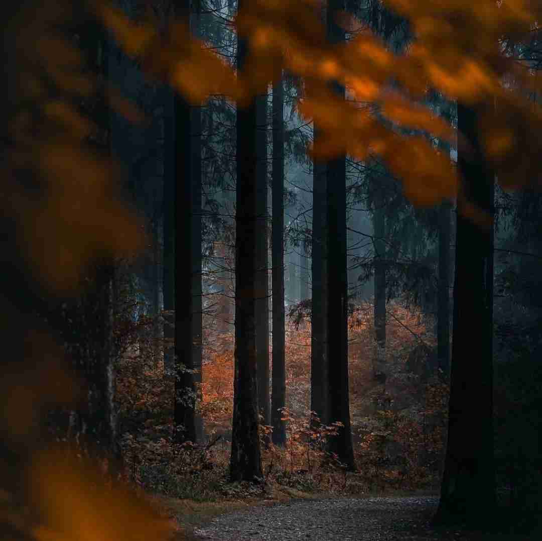 فاطمه عطایی نماشون شو بیه مه یار نموعه یار بانو بانو جانه