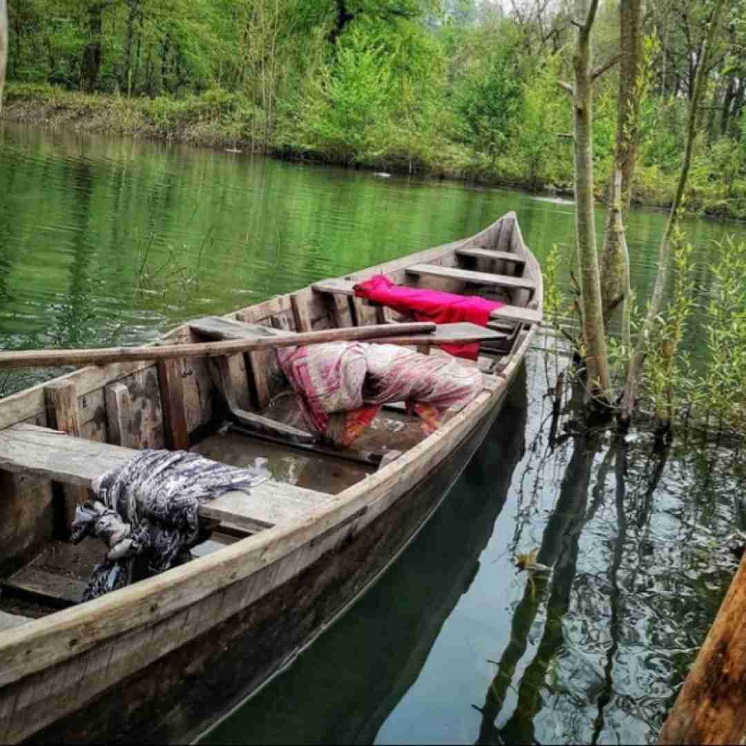 هر ورم میبینم که فنه چخسیه