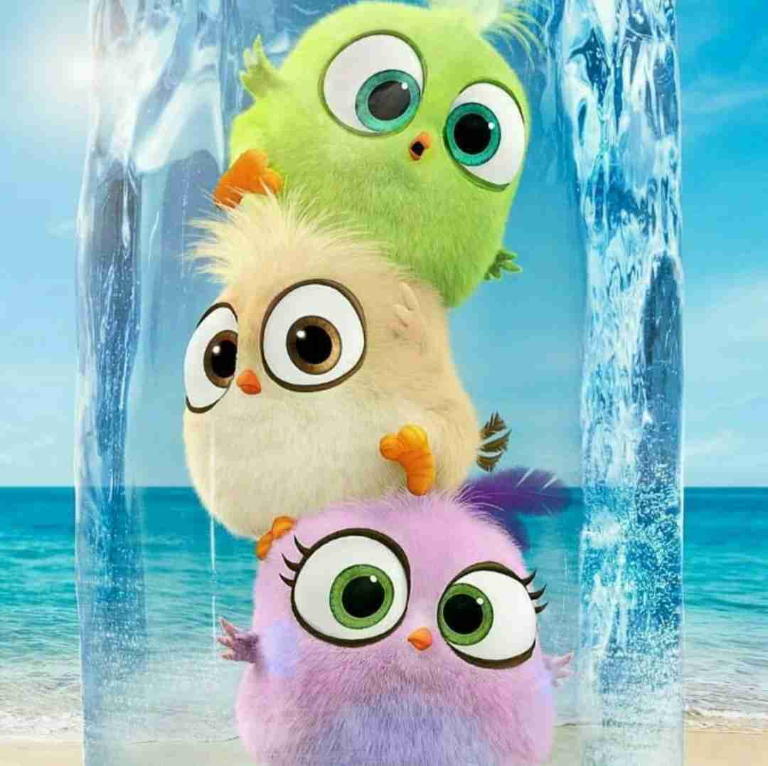 خوشمزه و سفیدم خیلی خیلی مفیدم اینستایی