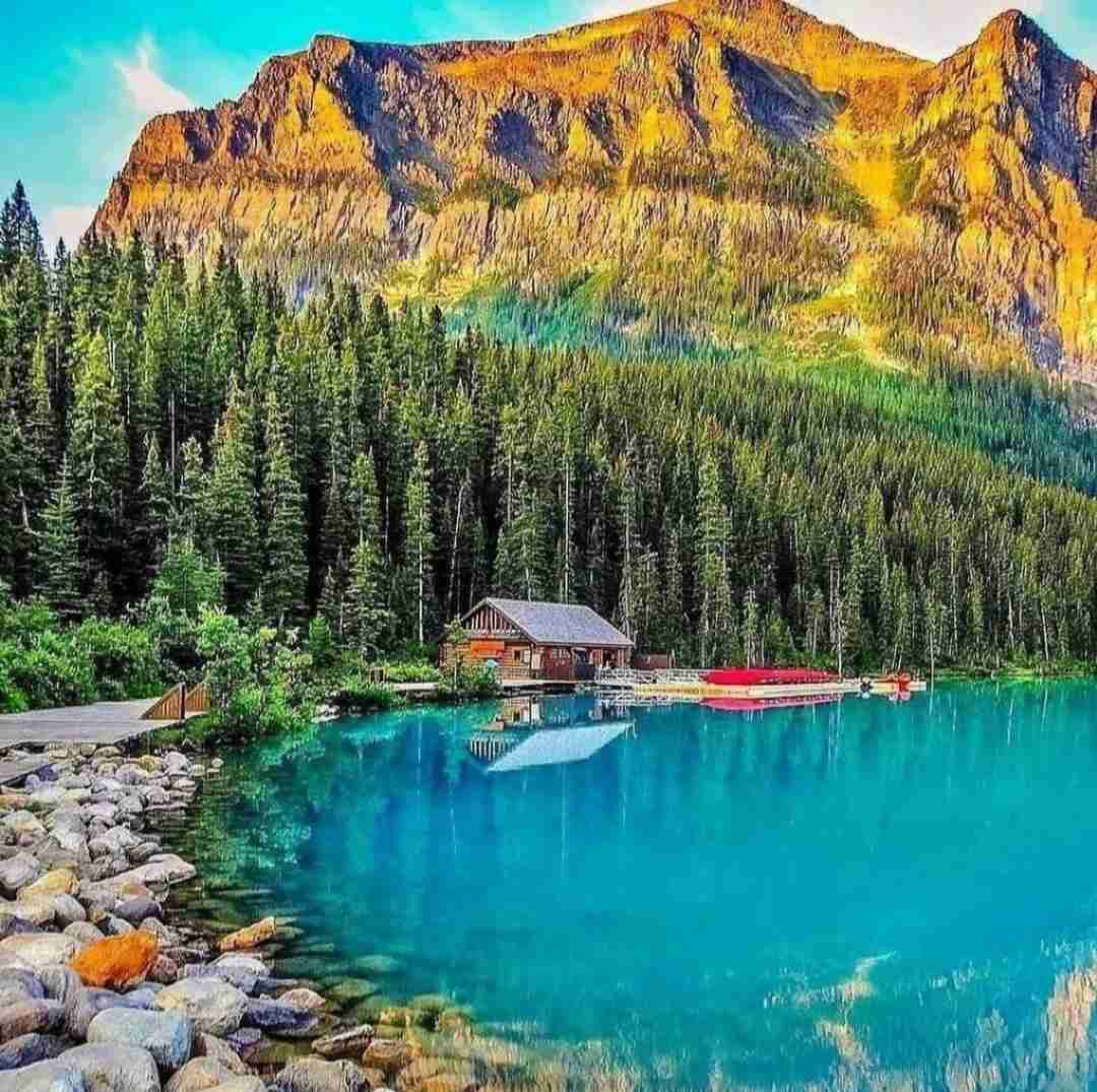 گل و گشاد میپوشم به تو چه سیسمه
