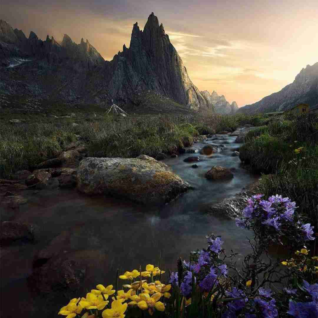  هی تو یار مو بردی ز یادت یاد مو - اینستایی