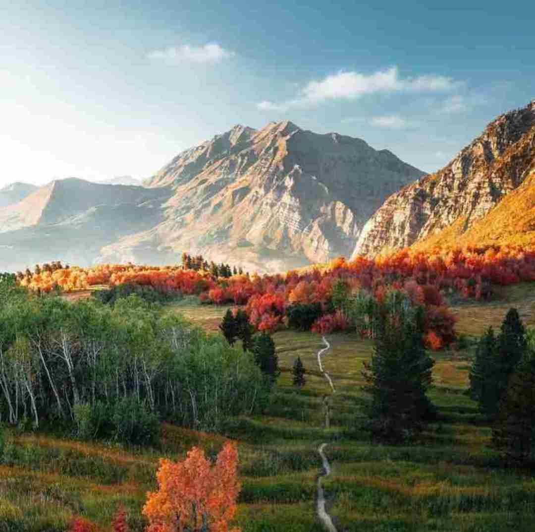  گفتی یادم تورو فراموش پس عشق هوش مصنوعی
