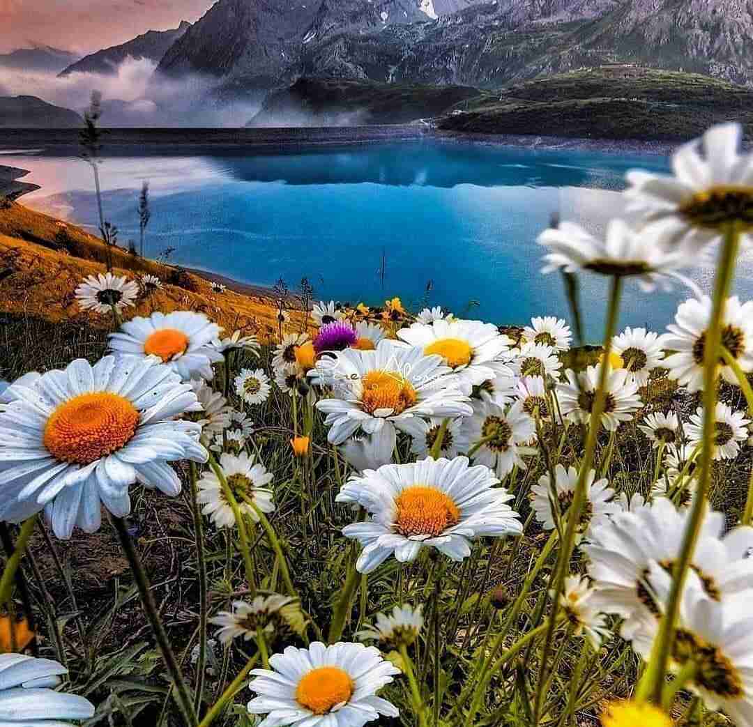  وقتی میای صدای پاتو میشناسمش با صدای زن