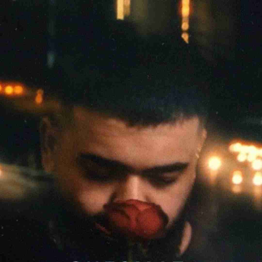 علیراد ما که همیشه بود سرمون پایین