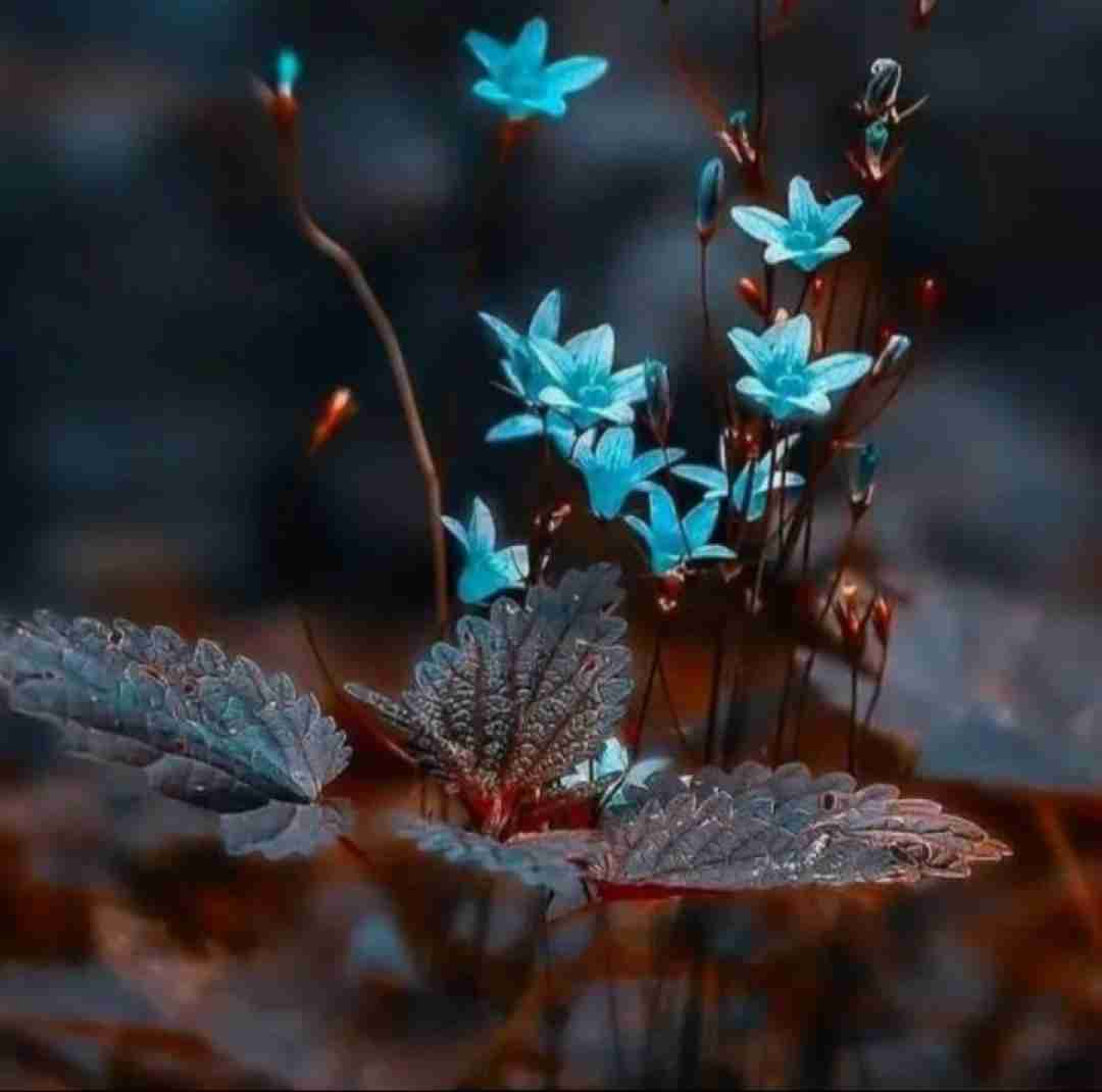  تو یه لحظه این همه عشق بین ما یهویی هوش مصنوعی