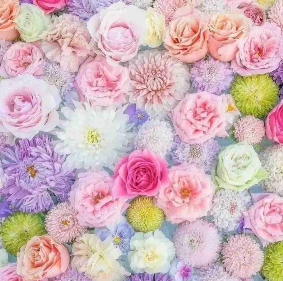  چند ماه دیگه منم دختر دارم