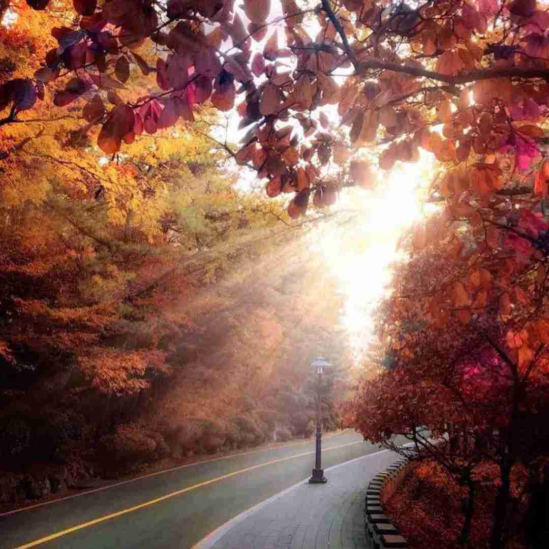 من موندم و دلتنگیام من یه غم بی انتهام هوش مصنوعی