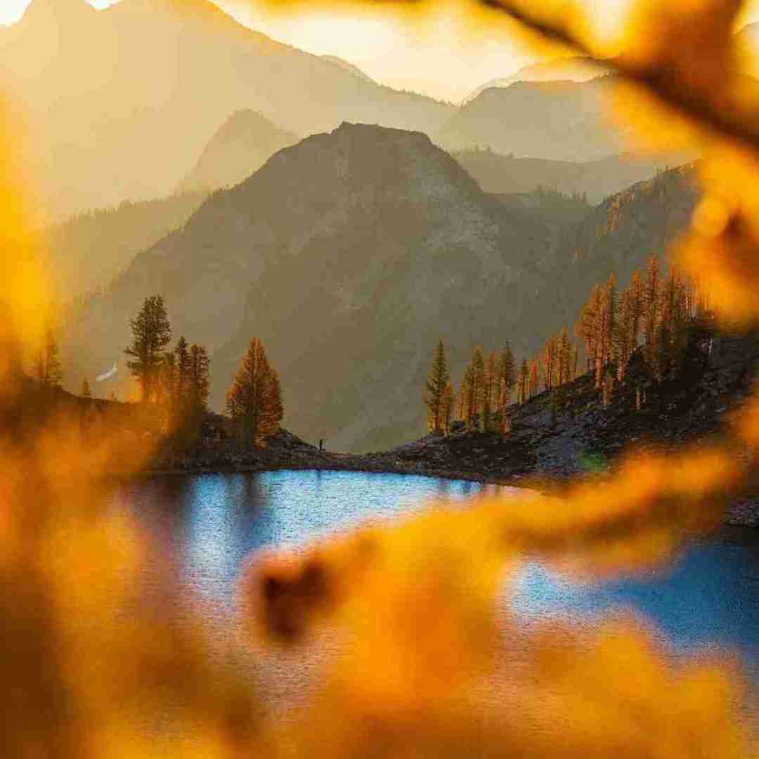 از حالا دیگه من مردم دل من هواتو کرده