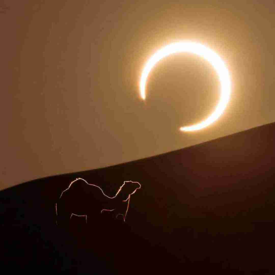  من میگم اصلا خودمم حقه انقد آب بره تو بینیم