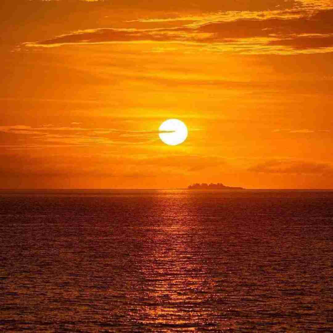 دوتا پری دوتا هلو شیطون و شاد و کوچولو