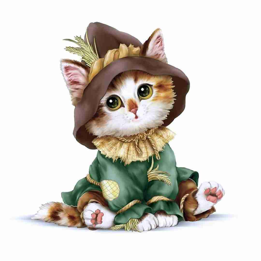  بعد تو میکنم گربه هارو ناز فقط