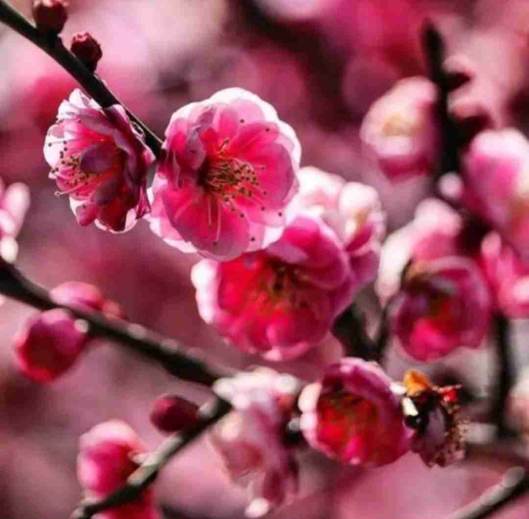 ای کافی عشقست