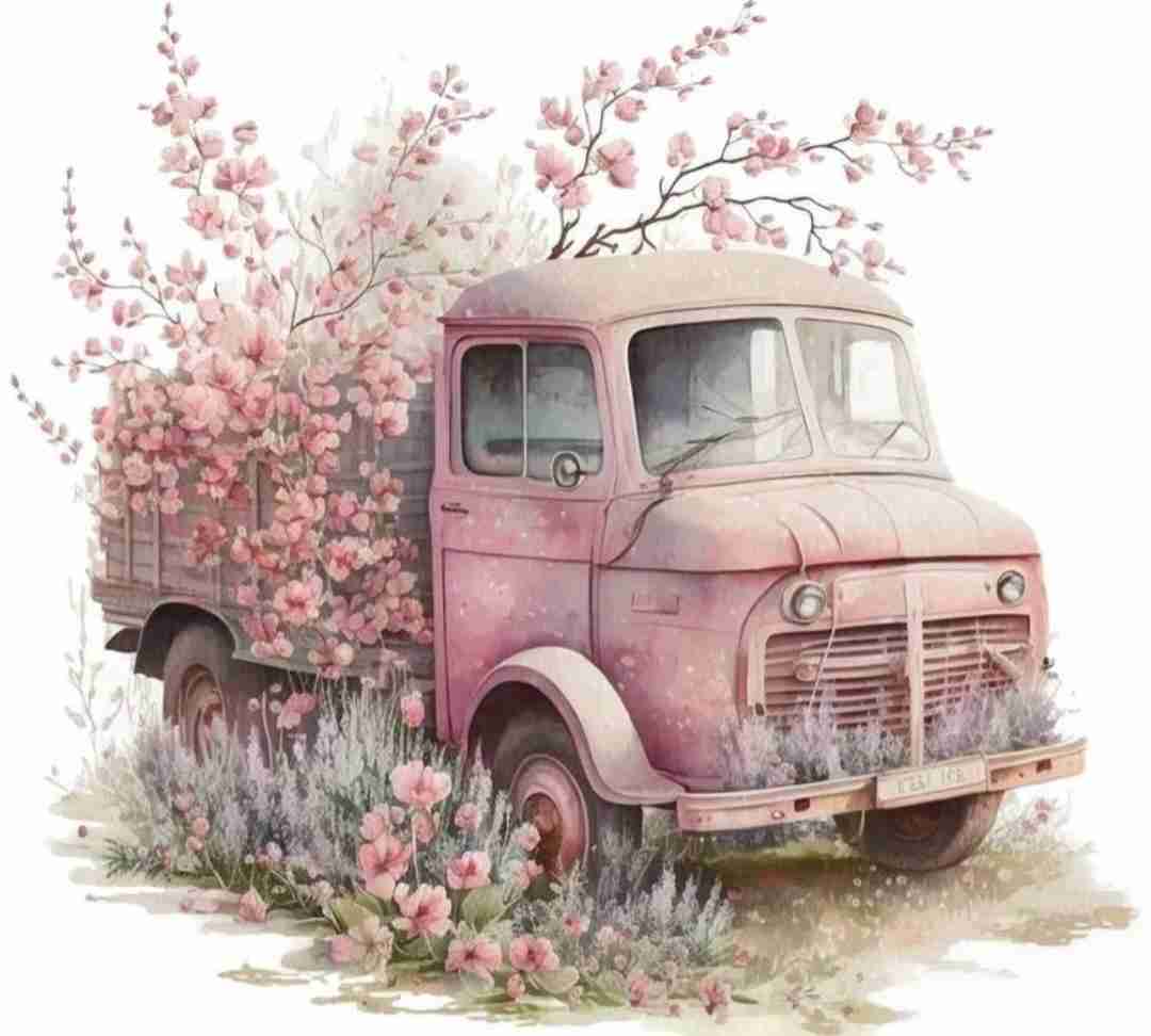  چیکی چیکی میزنی سه تا درینکی