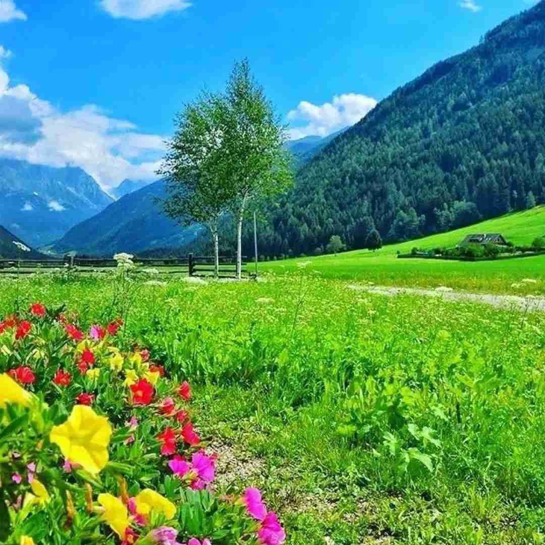 ای ساربان کجا میروی لیلای من چرا میبری با صدای زن