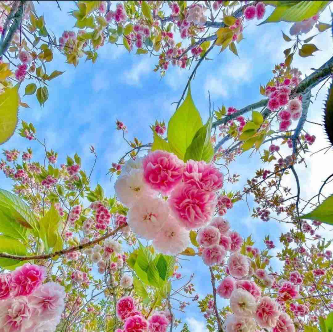  تکست میده میگه ایزیه ولی میبینمش پیش فیزیه