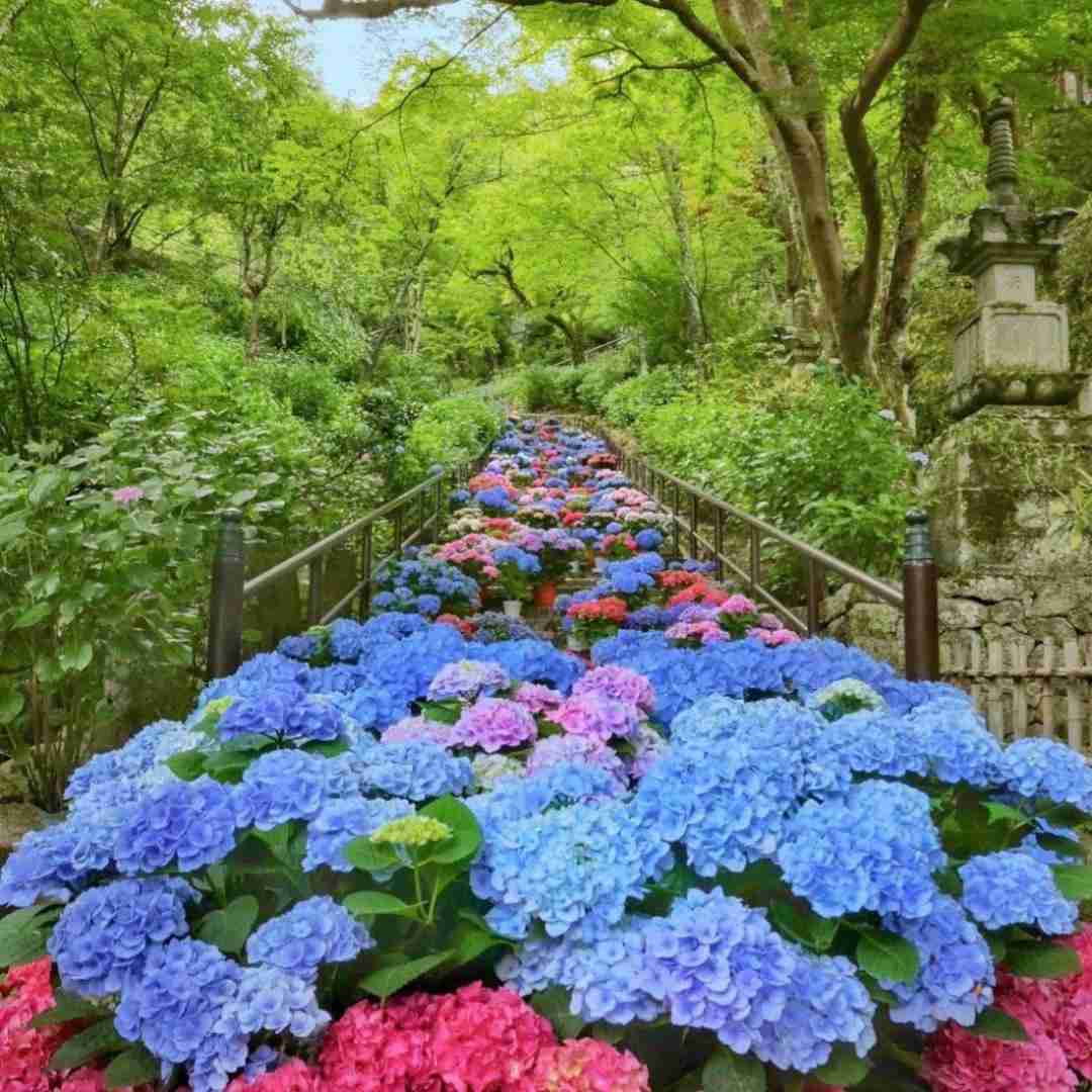  عاشق شدنم قصه ی دیوانه شدن بود با صدای پسر